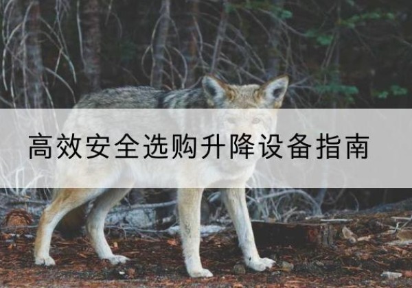 武穴升降货梯厂家推荐-*安全选购升降设备指南