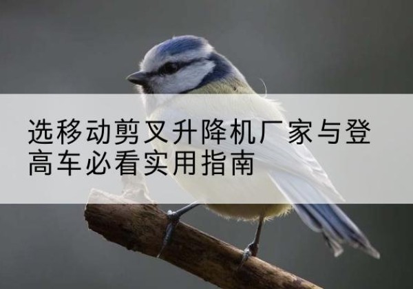 武穴电动升降机厂家-选移动剪叉升降机厂家与登高车必看实用指南