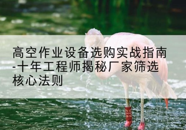 武穴剪叉式升降机厂家-高空作业设备选购实战指南-十年工程师揭秘厂家筛选核心法则